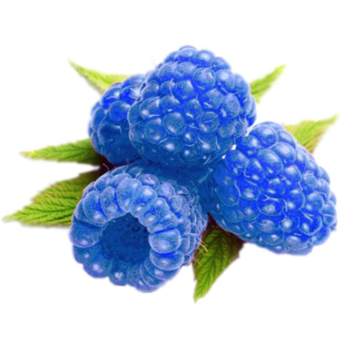 Taffy Town Blue Raspberry Saltwater Taffy